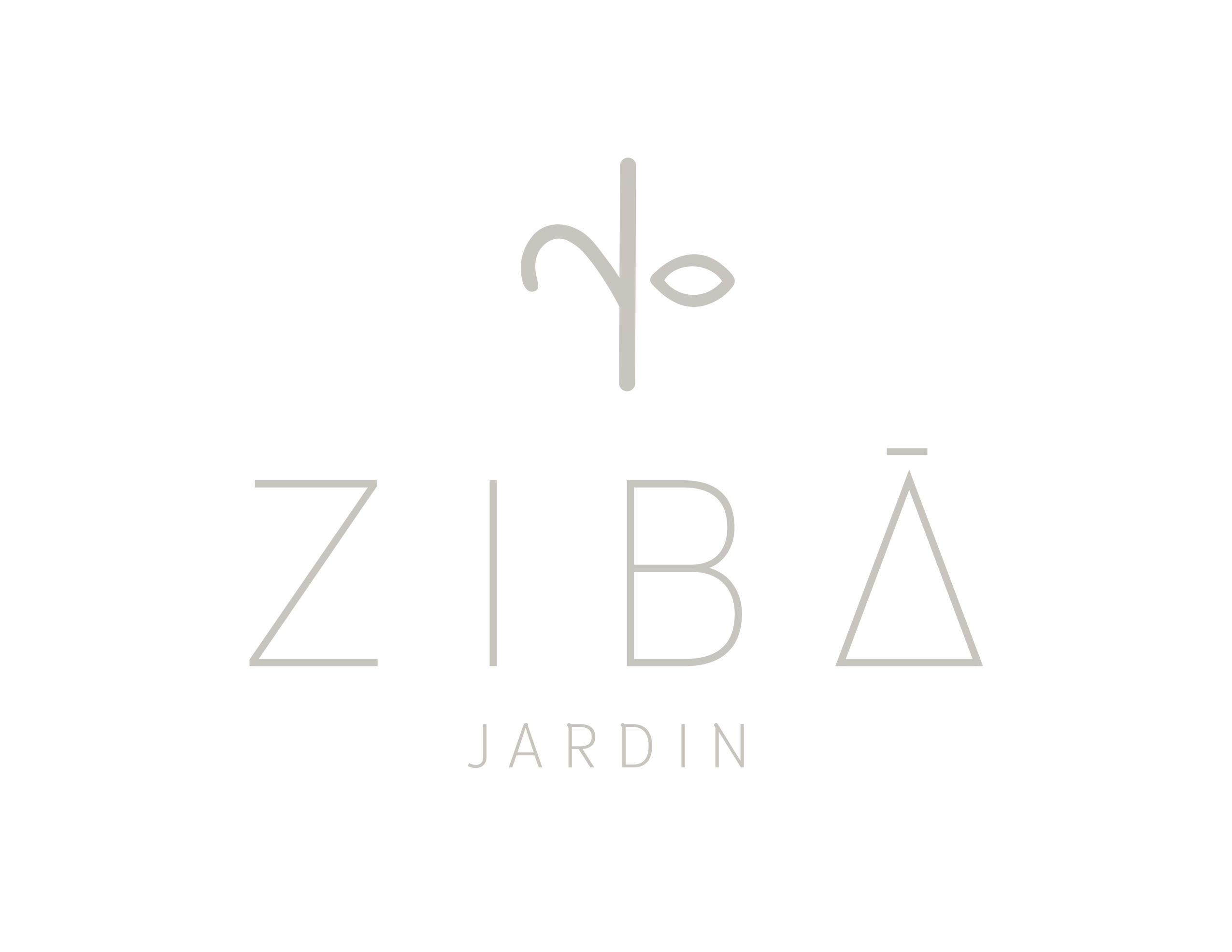 zibaok